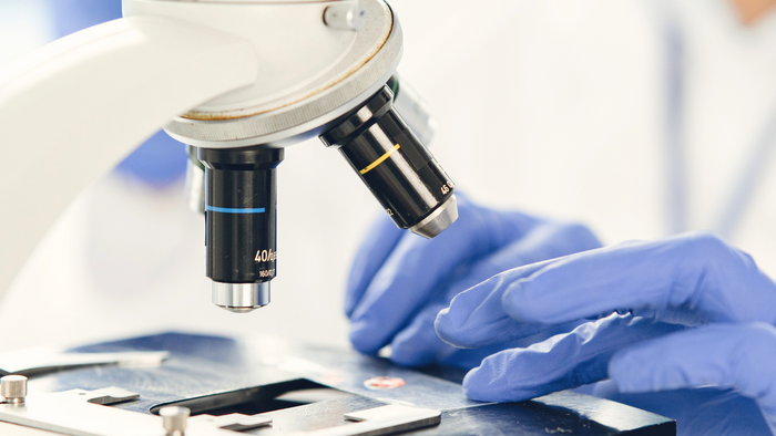 Laboratory environment supporting conformity assessment, regulatory approval, and market access under MDR and IVDR.